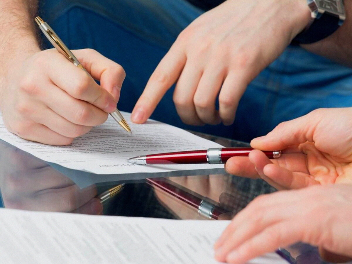 картинка из сети