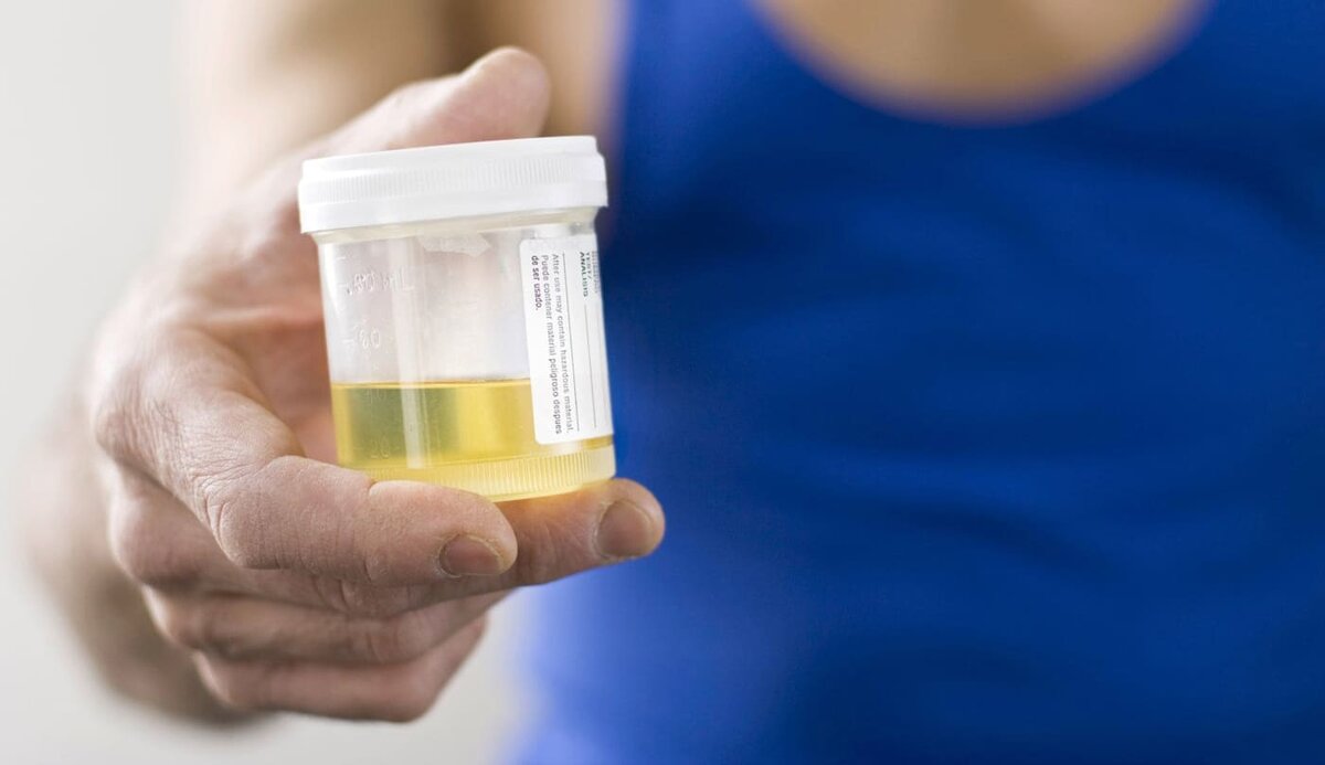 Изображение из интернета