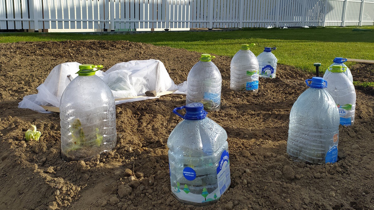    Как нестандартно использовать пластиковые бутылки