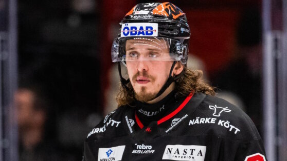    Чех Либор Шулак перешел в омский ХК "Авангард" Юлия Шелковенко