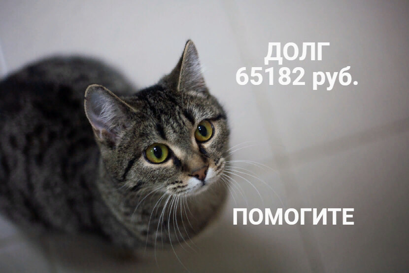 наша Зарочка