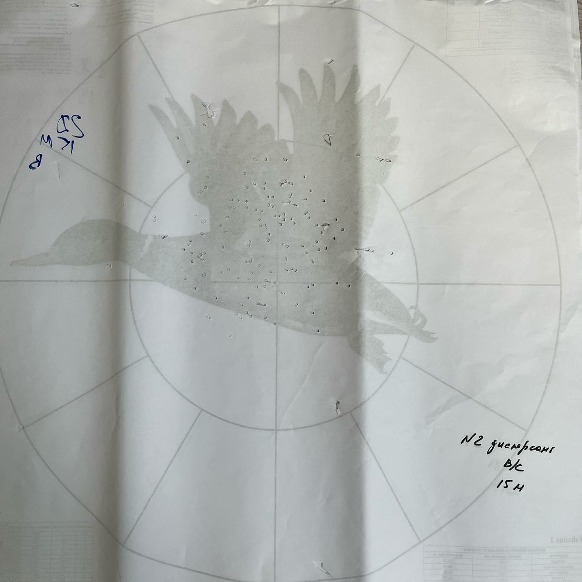 Дробь №2, 15 метров, верхний ствол.