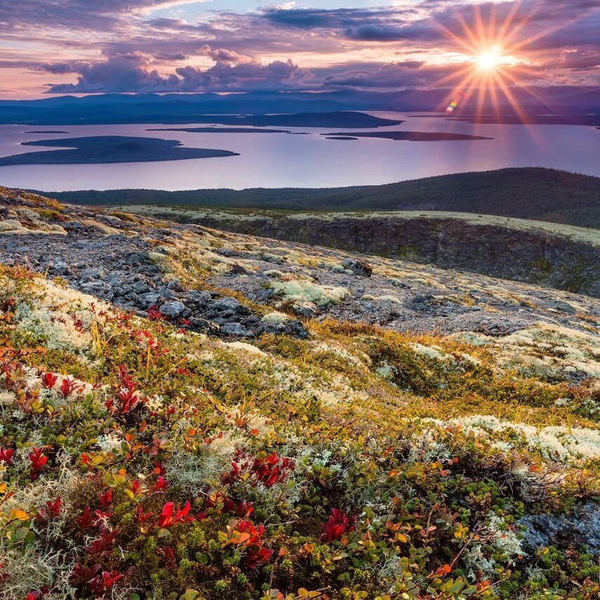Картинка лето на севере