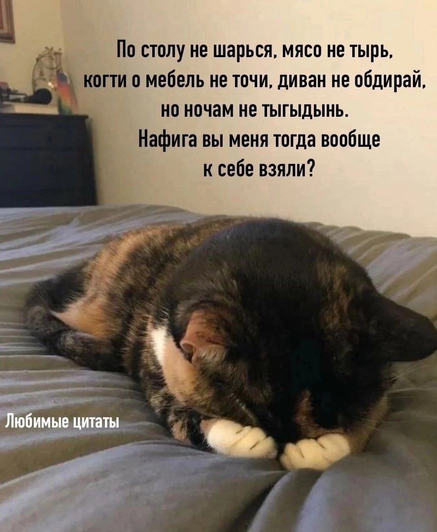 иллюстрация из яндекс картинки.