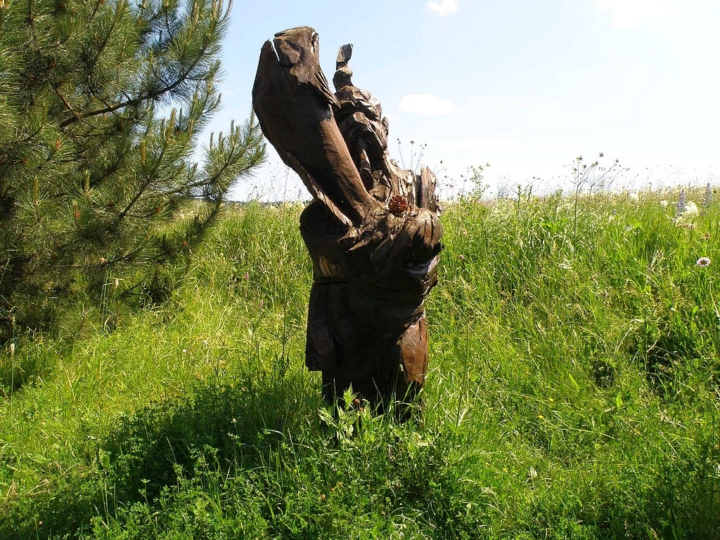 Защитник Грушевого озера