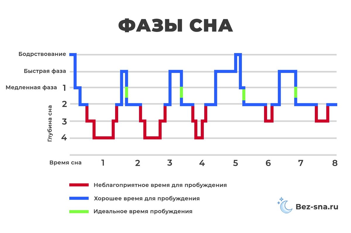 Циклы сна как выспаться. Фазы сна график по времени. Фазы сна человека диаграмма. Циклы сна человека по времени таблица. Фазы сна и их особенности.