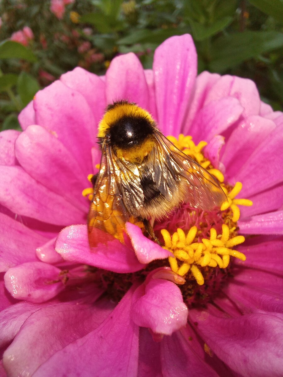 Фото из архива автора