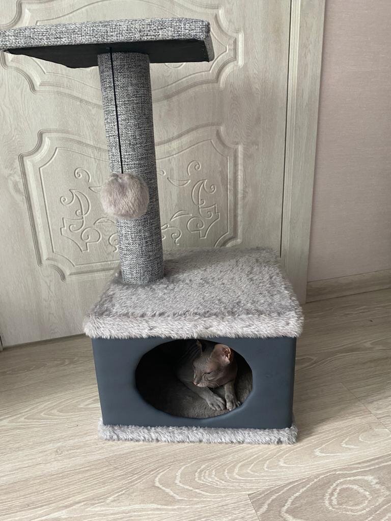 На себя посмотри, курицу она нашла! 