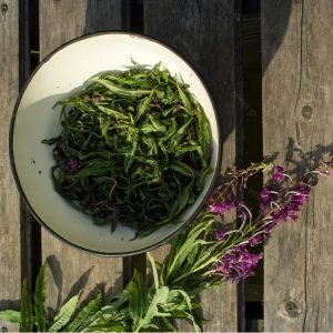    Фото: freepik.com Анна Полякова