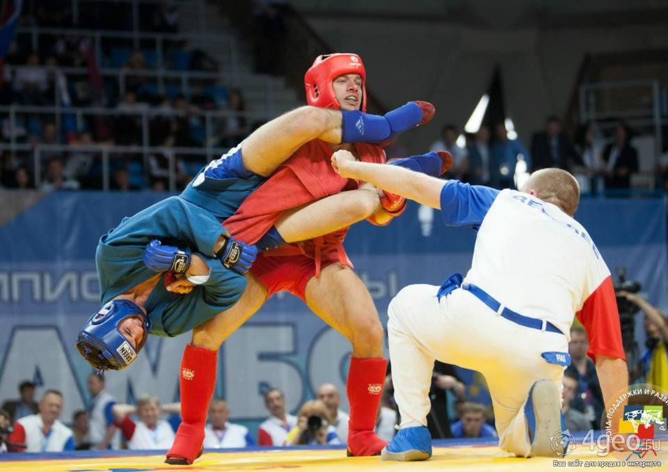 Спорт боевое самбо
