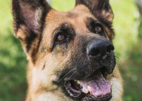 Все картинки взяты из открытых источников интернета для иллюстрации.