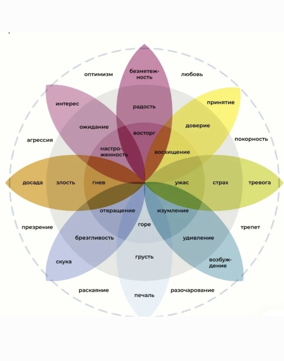 Используйте "Цветок эмоций" в распознавании эмоций