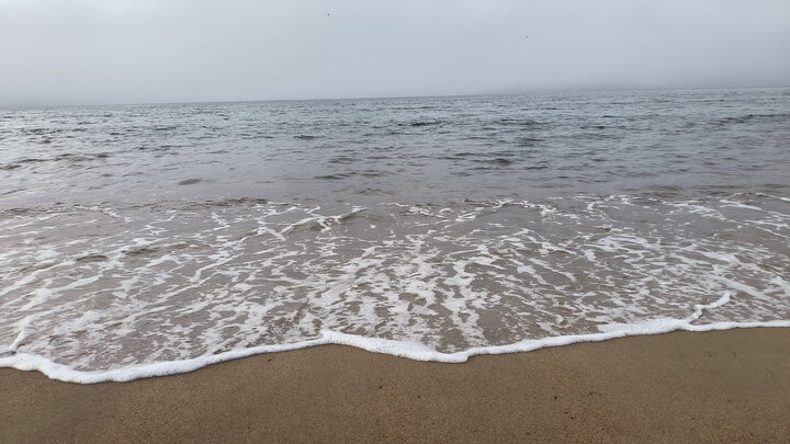 ФОТО: MAKSIM KONSTANTINOV/GLOBALLOOKPRESS 