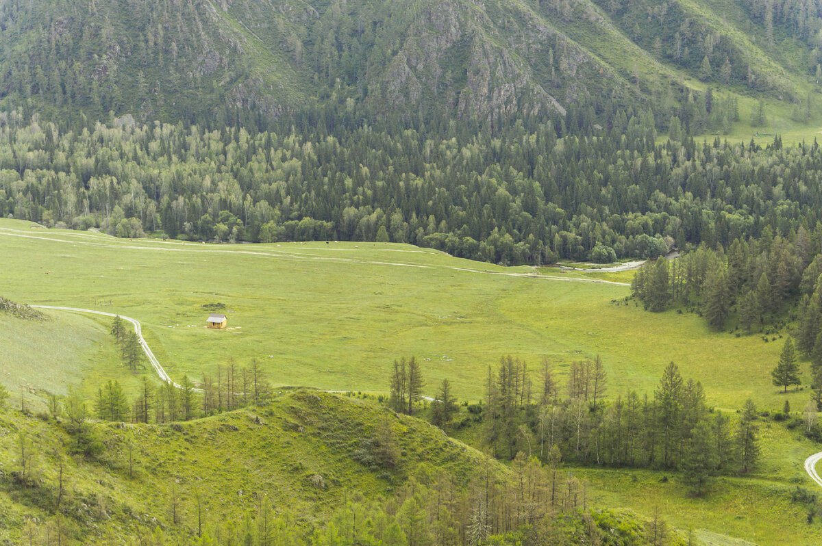 Краски Алтая