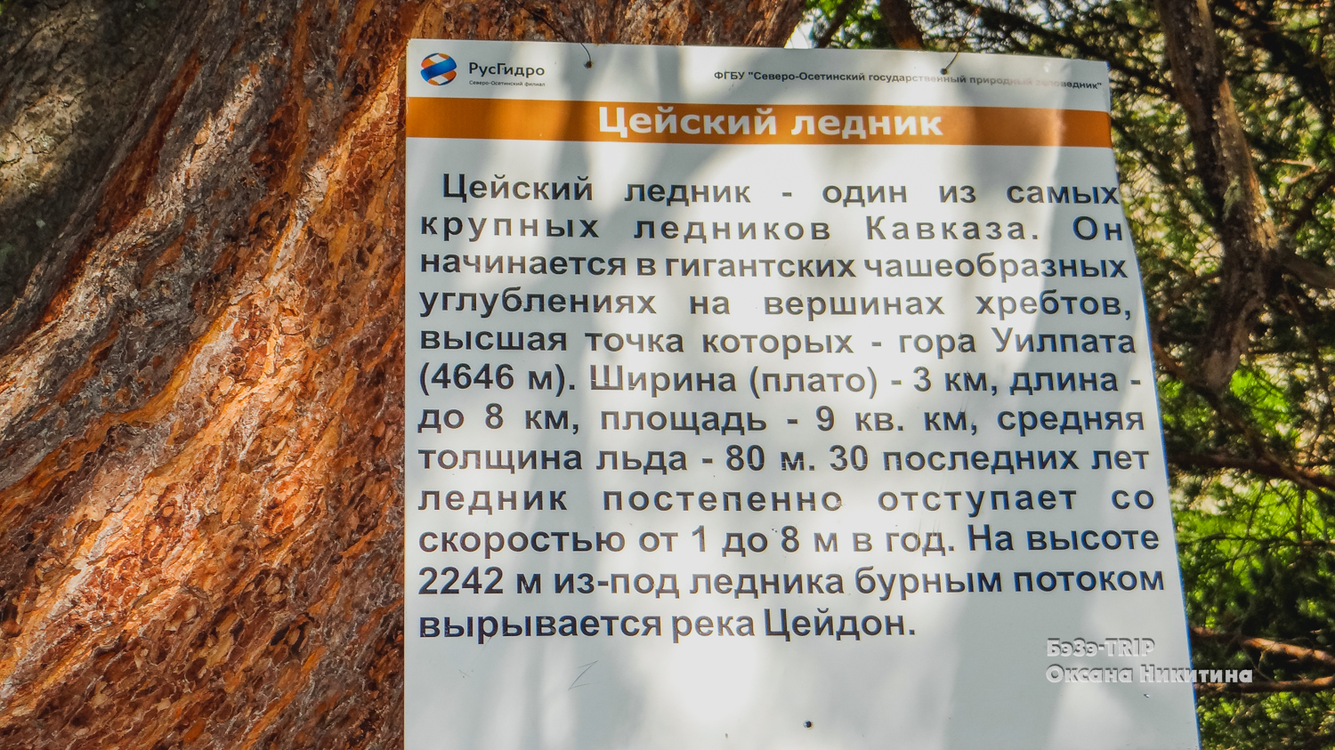 Чем компенсировать совковый сервис на юге России? Показываю, чем компенсировали мы5