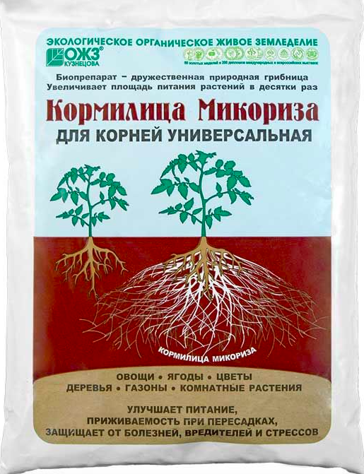 Микориза