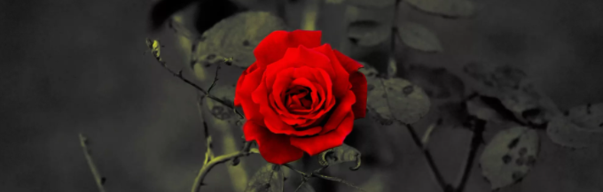 Практика омолаживает и усиливает женские чары