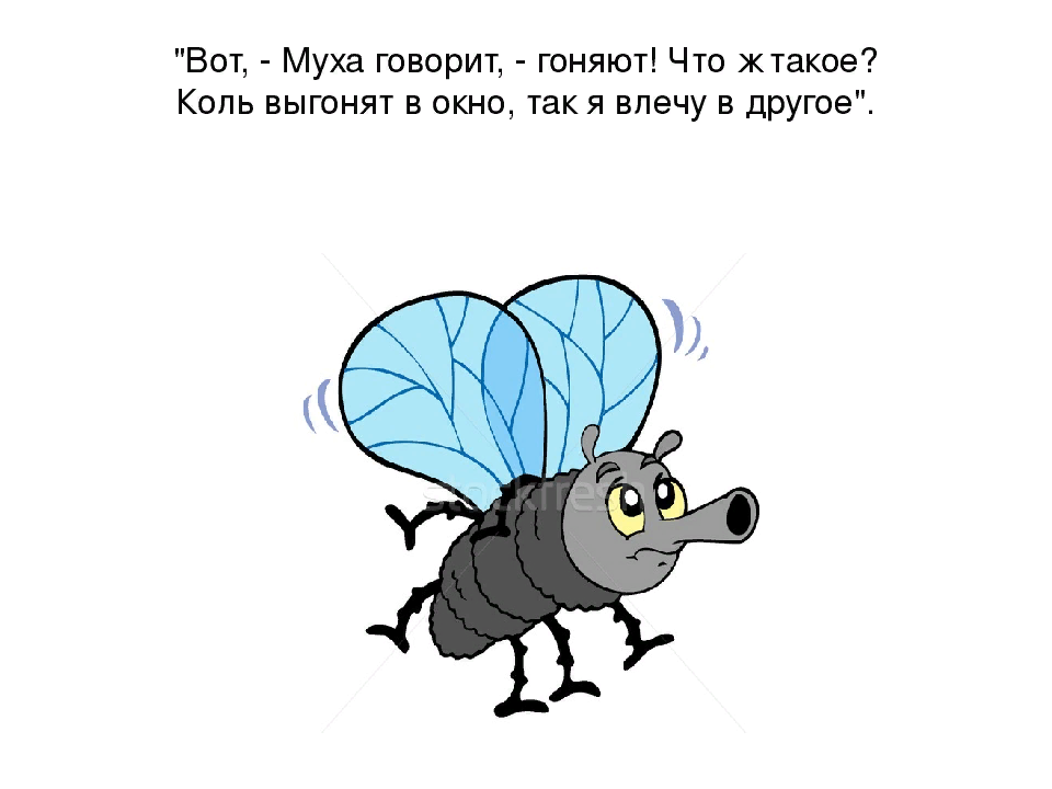 Зверя нет сильнее мухи старый бог. Назойливая Муха. Смешные стихи про муху. Смешные стишки про мух. Муха смешная картинка.