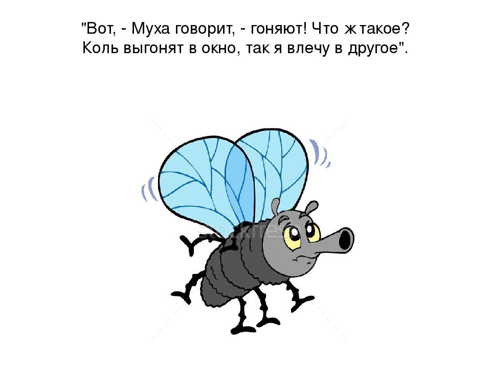 Повторюха муха картинки