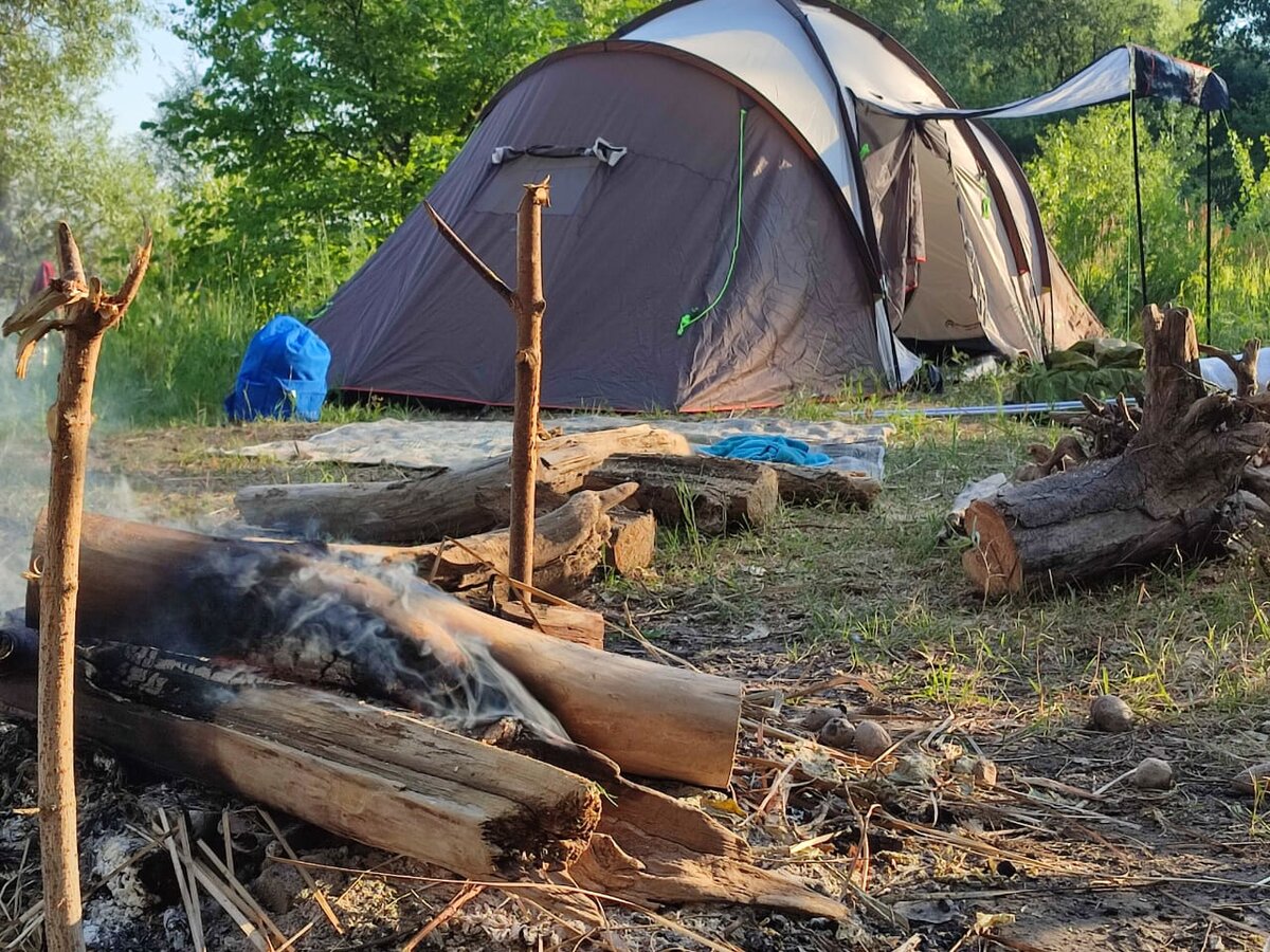 В спортмастере выстроилась очередь за бюджетной 4-местной палаткой с  огромным тамбуром, мой отзыв | Генератор идей | Дзен