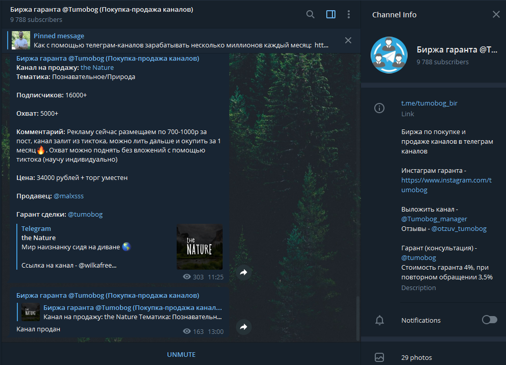 11:25 - Канал выставлен на биржу; 11:48 - написал покупатель; 12:05 - сделка завершена! 