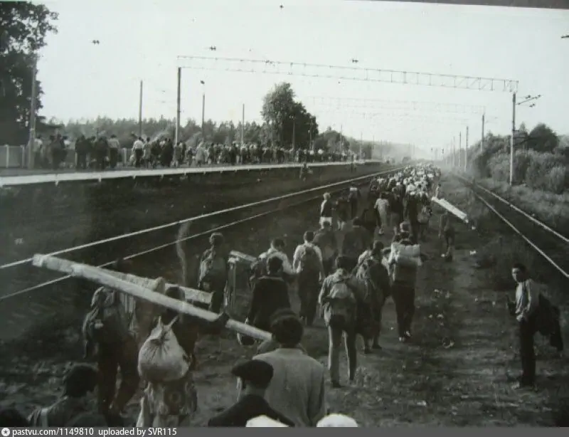 На станции "Мшинская" 1985-1986 гг. Фото с pastvu.com