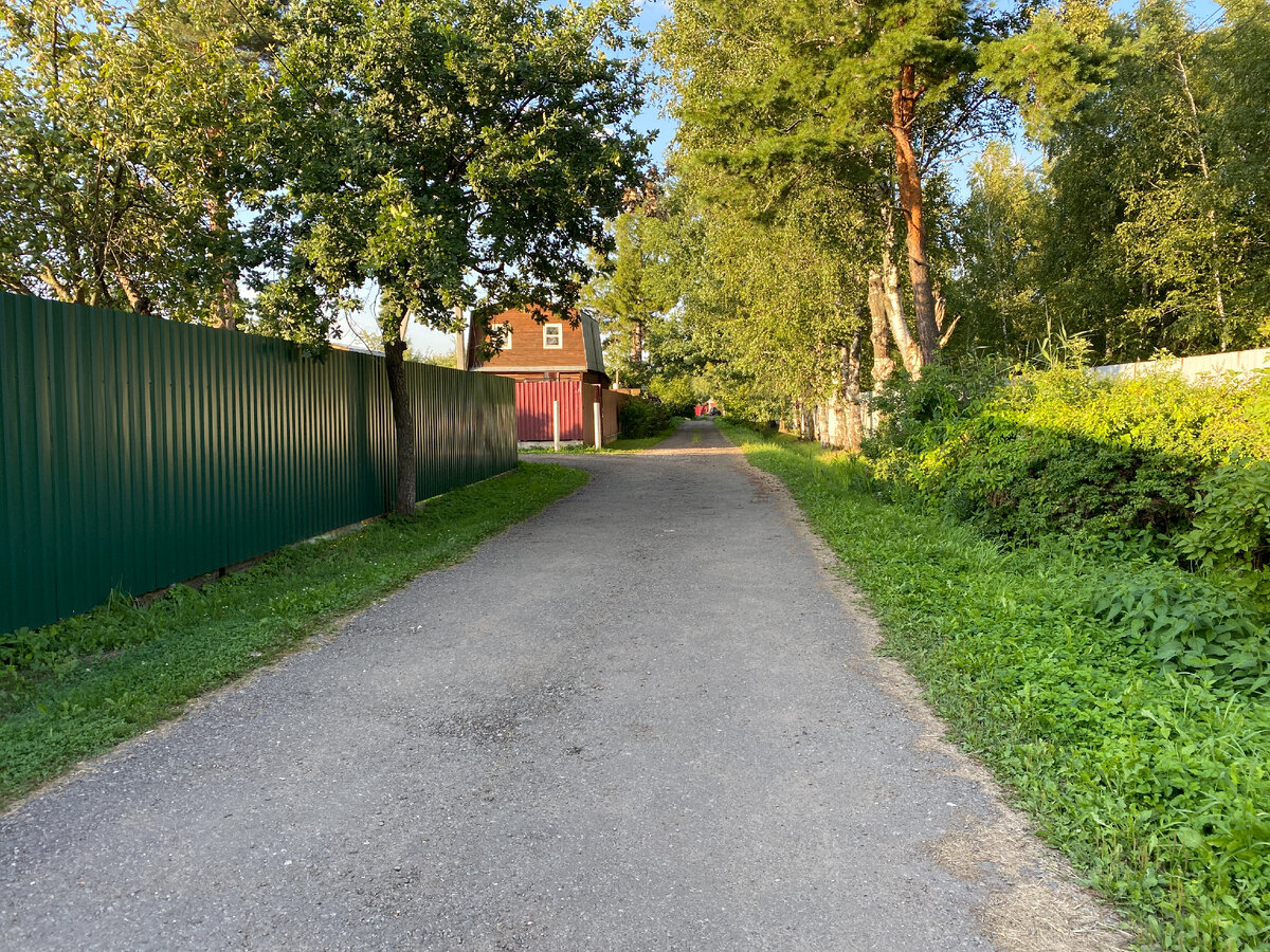 Главная линия