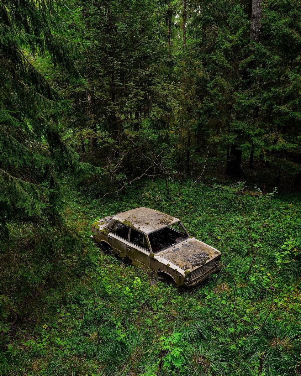 Авто в лесу фото Нашел в глухом лесу Подмосковья легендарную Копейку. Как она там оказалась? Амба