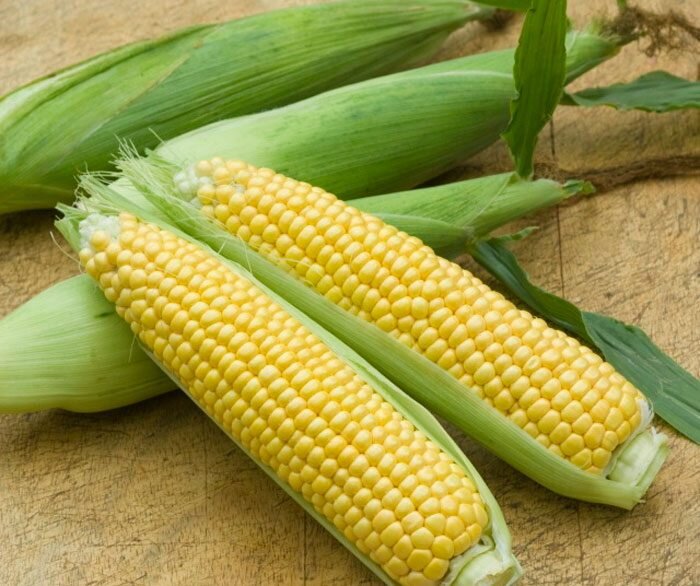 Кукуруза. Полезные свойства. Виды и сорта . Выращивание , уход , полив ,вредители , хранение .