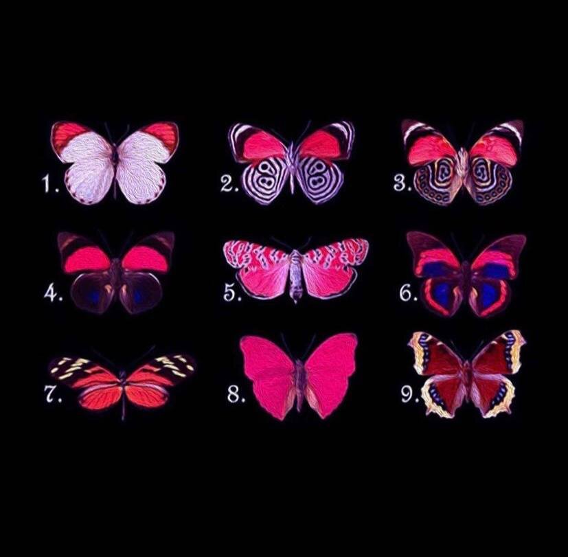 тест выбери бабочку. выбор бабочки. психологические тесты выберите бабочку. психологический тест бабочка. психологический тест бабочка.