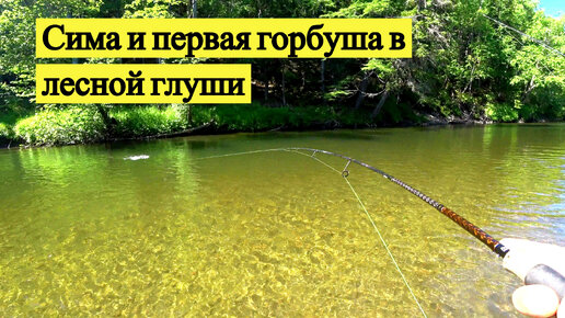 На водомете по безлюдной реке. Сима и горбуша. Остров Сахалин