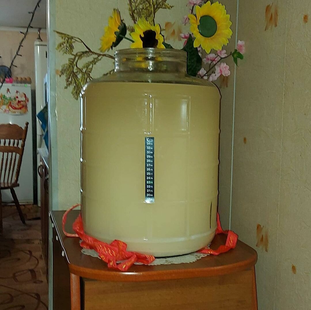 Брага до осветления Бетонитом