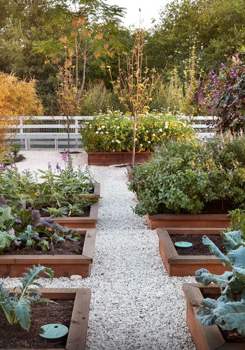 сады дворы огороды. огород в голландском стиле. красивый огород. сады дворы огороды. сад пермакультуры живые изгороди.