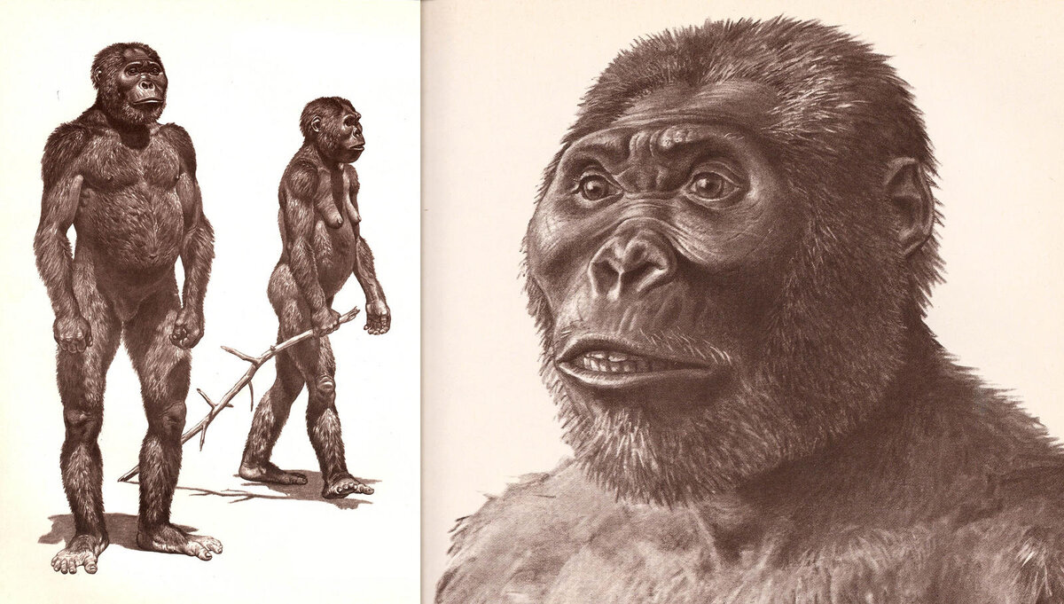 BIGFOOT VI: Cryptid Apes General 2