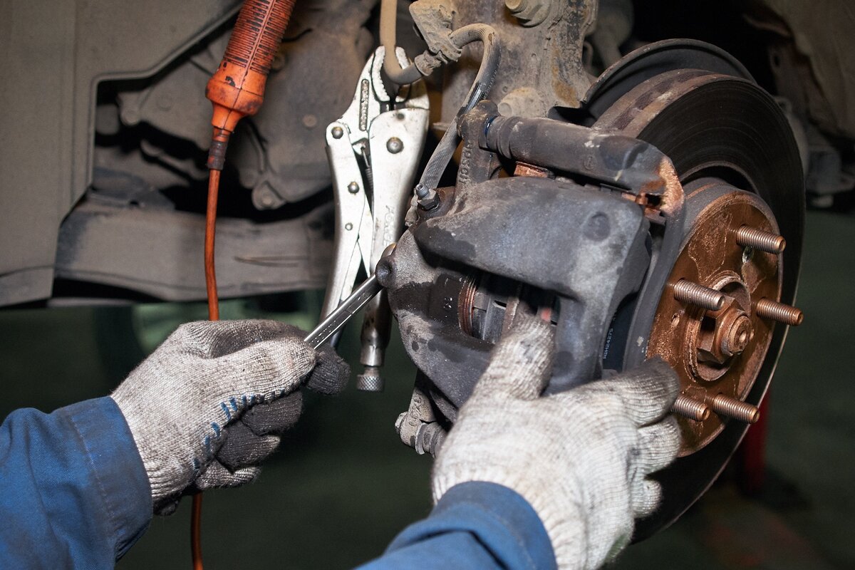 Фото взято с Яндекс картинки.