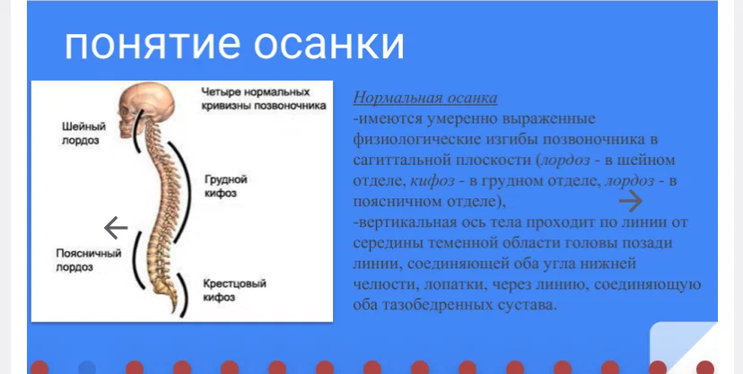 Какая осанка считается правильной