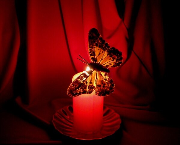 Фото из Интернета.