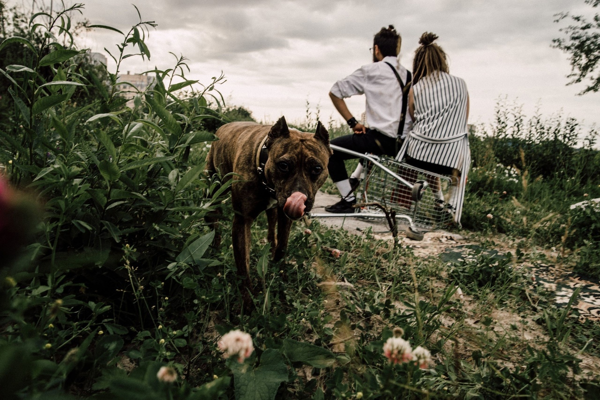 by Света Анисимова