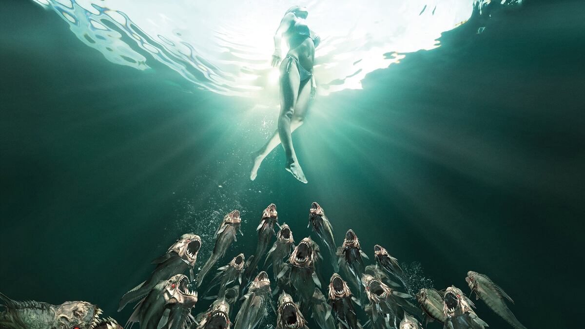 фото из открытого доступа Яндекс картинки