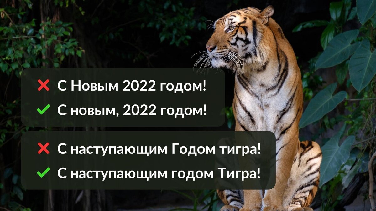 15 самых популярных новогодних слов, которые надо запомнить – работа над  ошибками | Учительская | Дзен