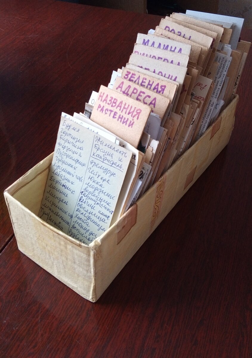 МОЙ  САДОВЫЙ  КАТАЛОГ