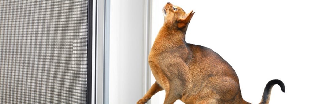 Сетки москитные на окна