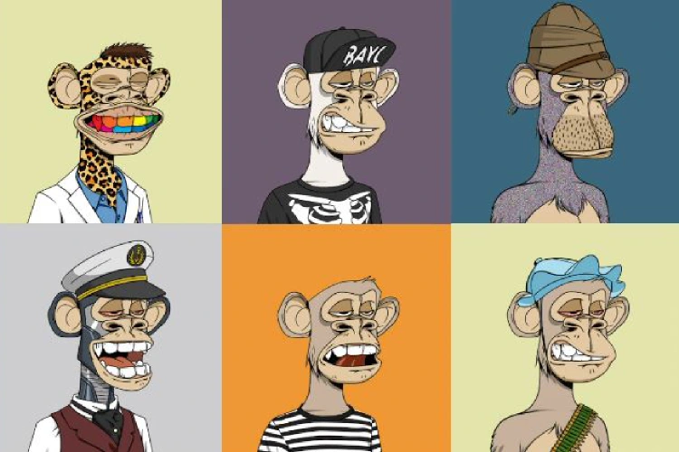 NFT с обезьянами