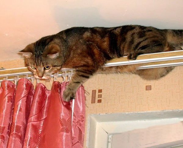 Источник Яндекс картинки