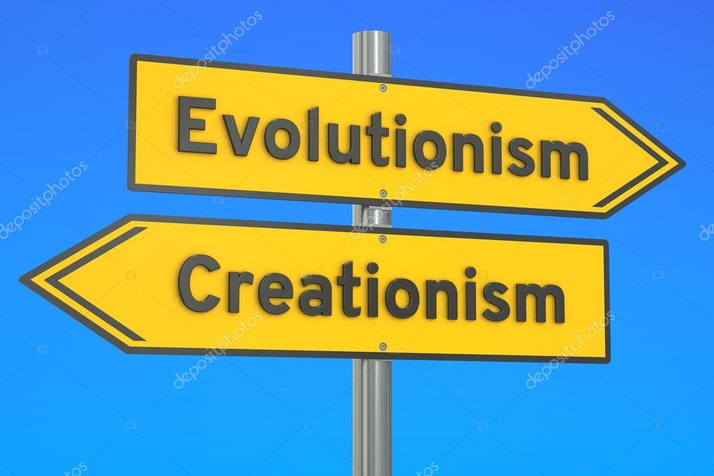 Изображение взято из открытого источника