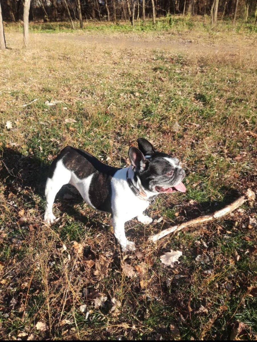 Можно листать