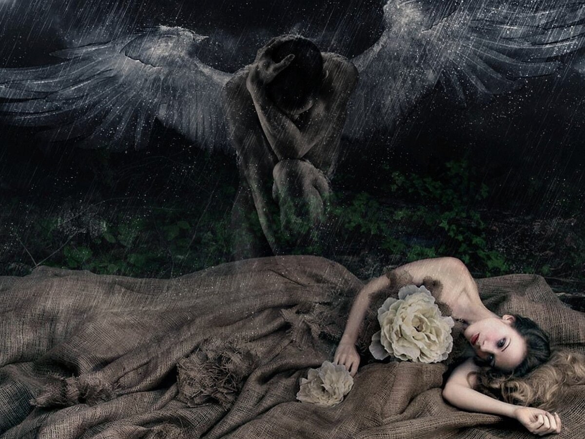 Картинка из интернета