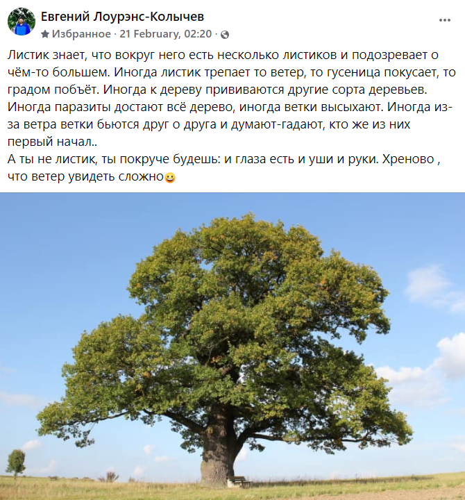Что является деревом