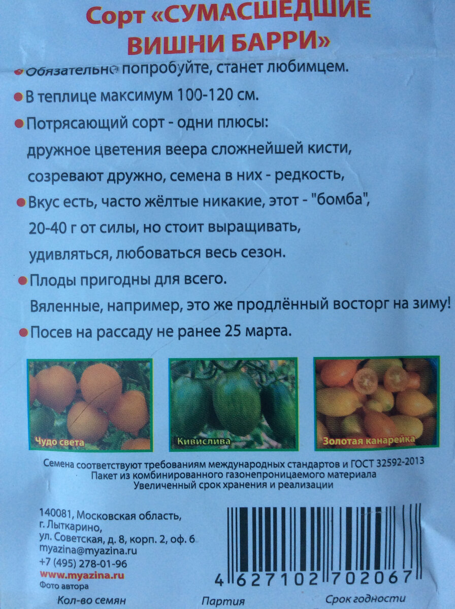 Томат сумасшедший барри отзывы. Томат сумасшедшие вишни Барри. Томат бешеные вишни Барри. Сумасшедшие вишни Барри томат описание сорта характеристика. Томат сумасшедшие вишни Барри Григорьев.