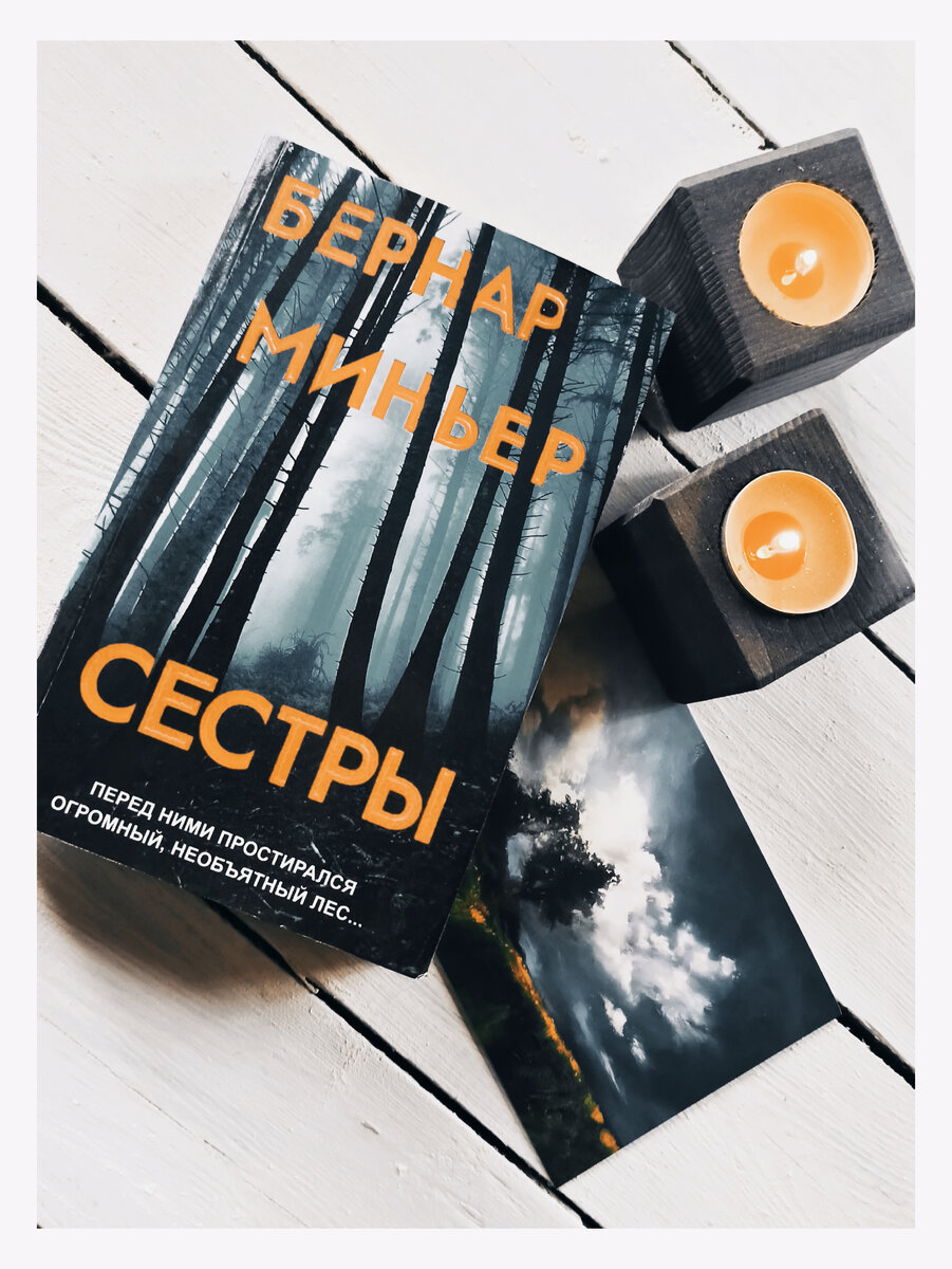 СЕСТРЫ. Бернар Миньер | Евгения Кайгородова. Книжный блог | Дзен